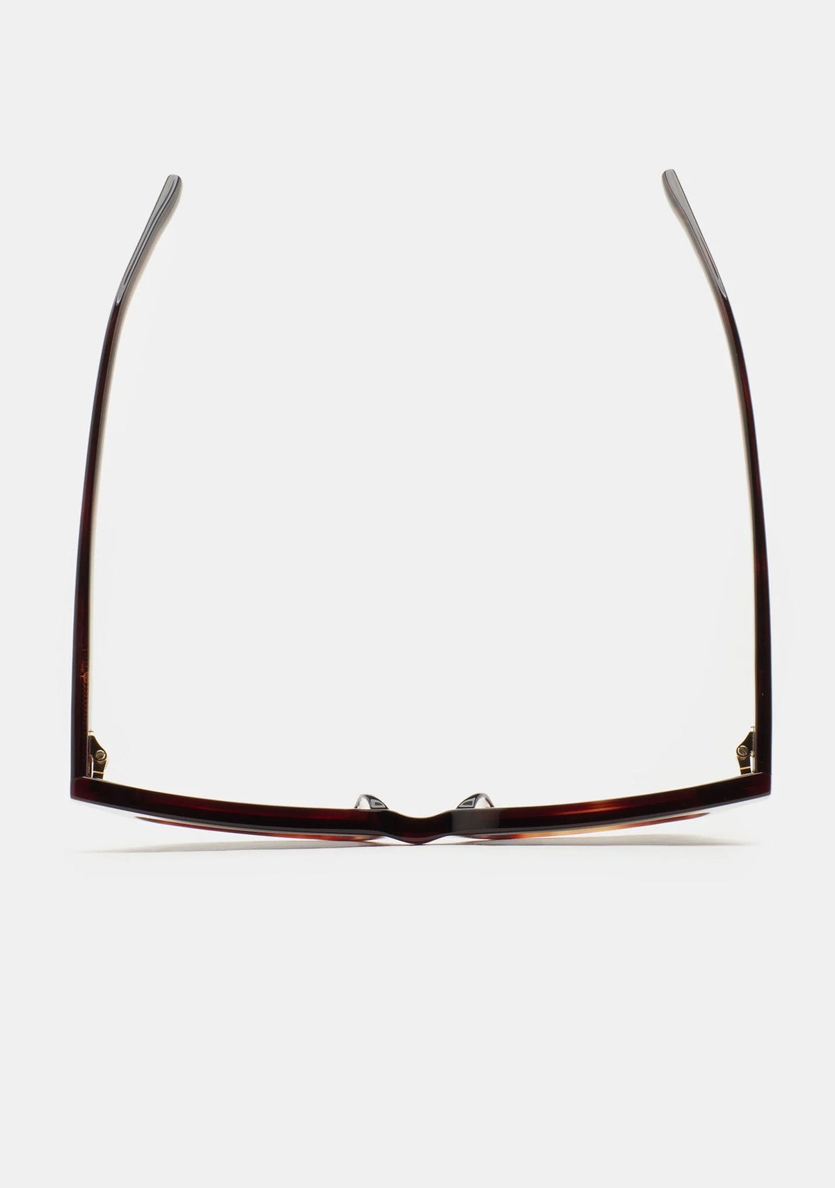 Gafas Wainscott Havana